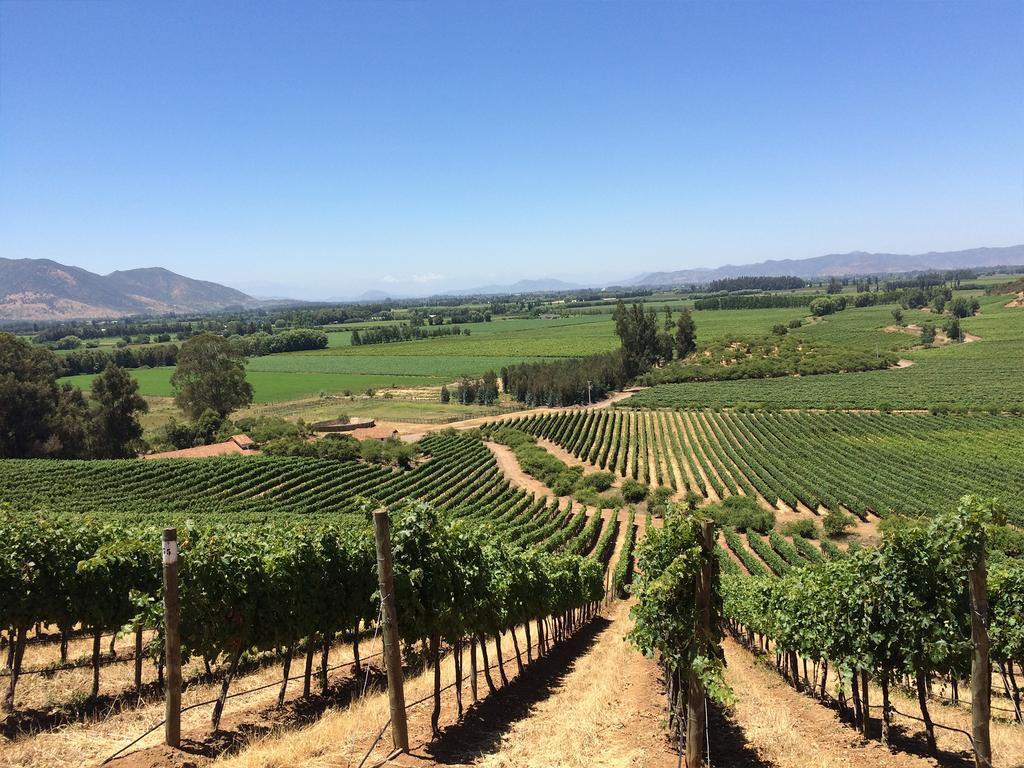 Hotel Noi Blend Colchagua